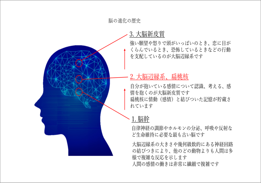 感情、理性、EQ、心