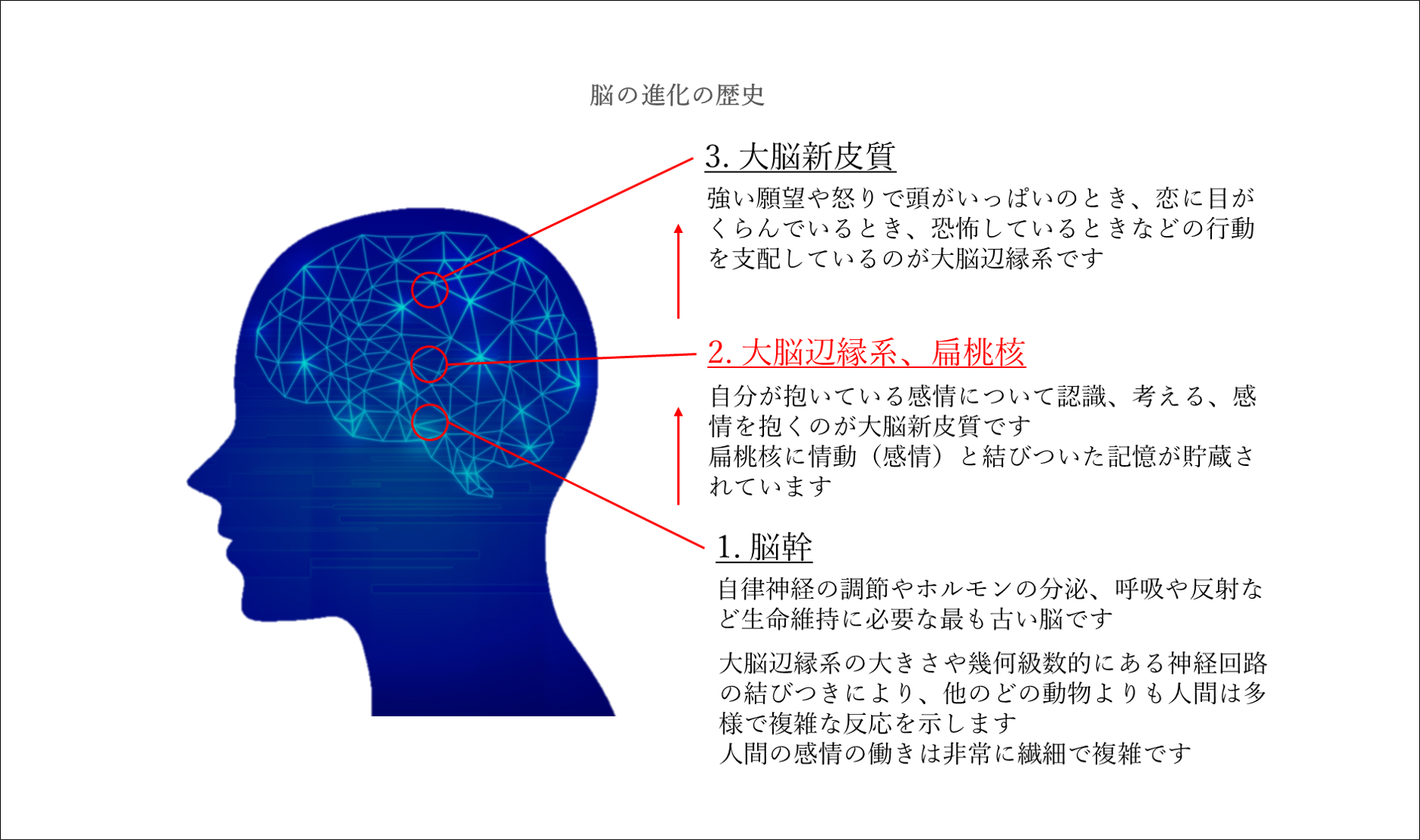 EQ、知能指数、心、脳